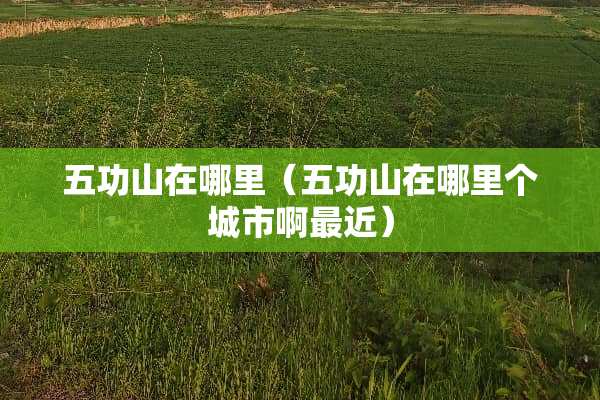 五功山在哪里（五功山在哪里个城市啊最近）