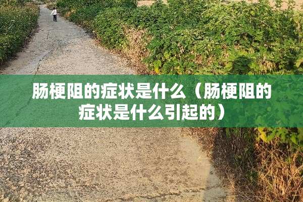 肠梗阻的症状是什么（肠梗阻的症状是什么引起的）
