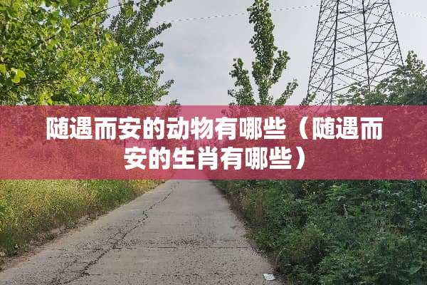随遇而安的动物有哪些（随遇而安的生肖有哪些）
