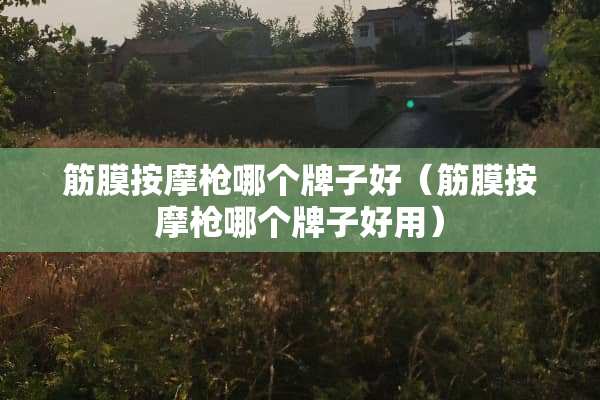 筋膜按摩*哪个牌子好（筋膜按摩*哪个牌子好用）