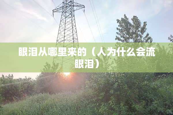 眼泪从哪里来的（人为什么会流眼泪）