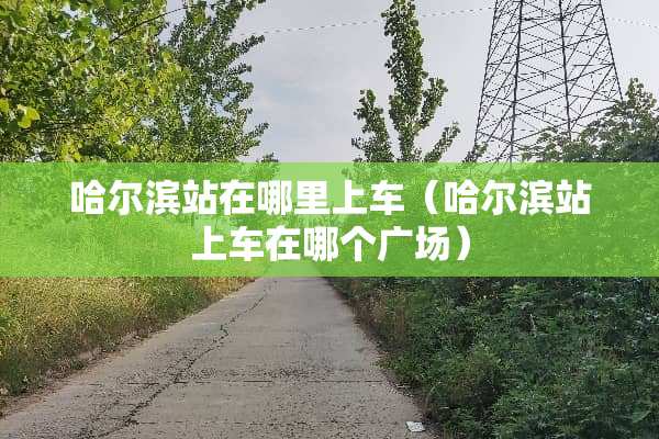 哈尔滨站在哪里上车（哈尔滨站上车在哪个广场）