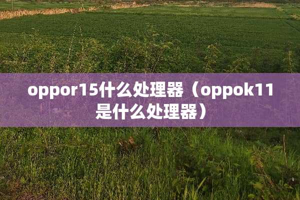 oppor15什么处理器（oppok11是什么处理器）