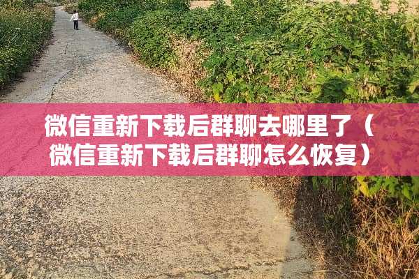 微信重新下载后群聊去哪里了（微信重新下载后群聊怎么恢复）