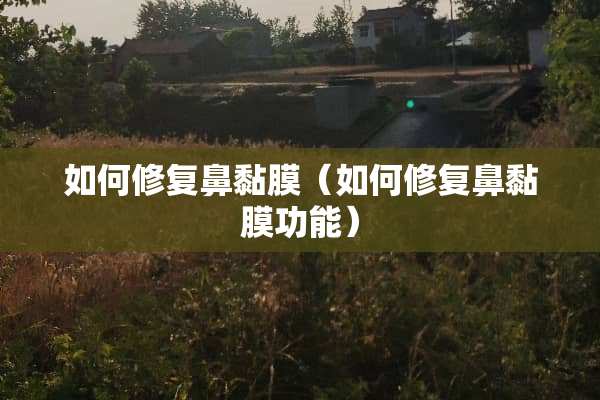 如何修复鼻黏膜（如何修复鼻黏膜功能）