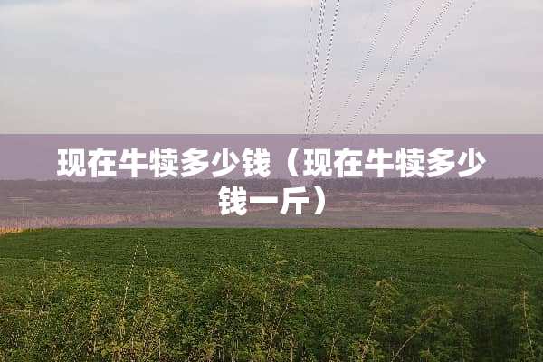 现在牛犊多少钱（现在牛犊多少钱一斤）