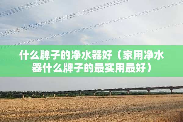 什么牌子的***好（家用***什么牌子的最实用最好）