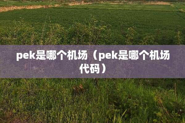 pek是哪个机场（pek是哪个机场代码）
