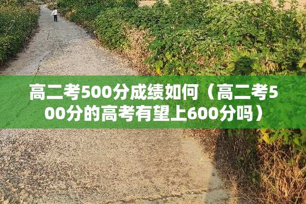 高二考500分成绩如何（高二考500分的高考有望上600分吗）