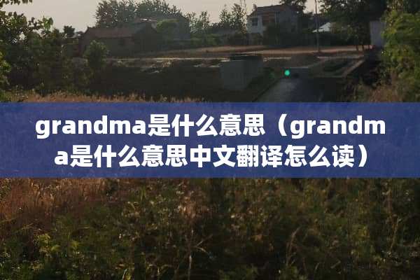 grandma是什么意思（grandma是什么意思中文翻译怎么读）