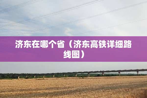 济东在哪个省（济东高铁详细路线图）