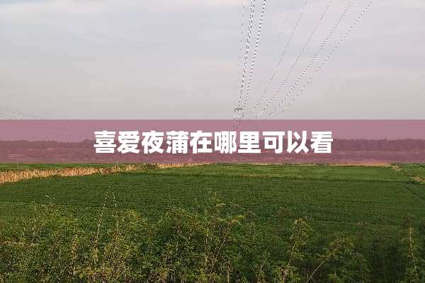 喜爱夜蒲在哪里可以看