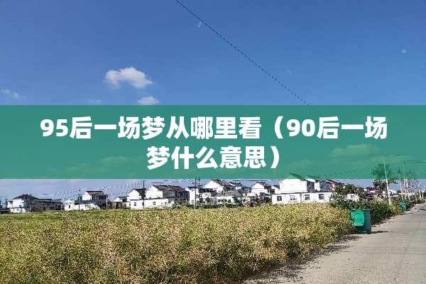 95后一场梦从哪里看（90后一场梦什么意思）