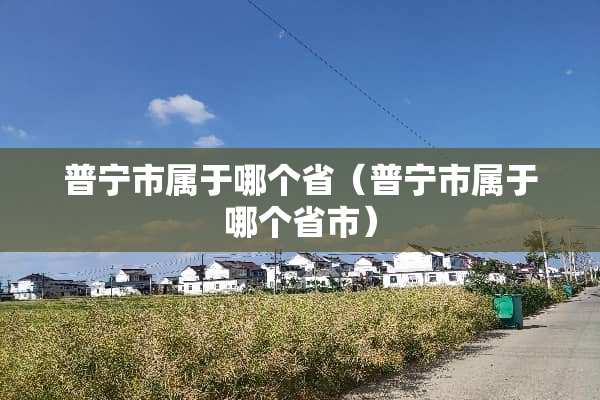 普宁市属于哪个省（普宁市属于哪个省市）
