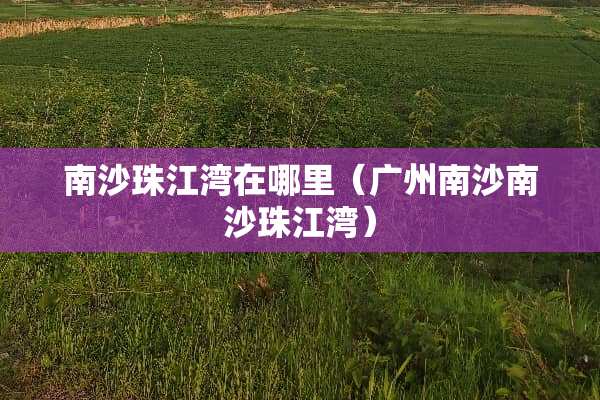 南沙珠江湾在哪里（广州南沙南沙珠江湾）