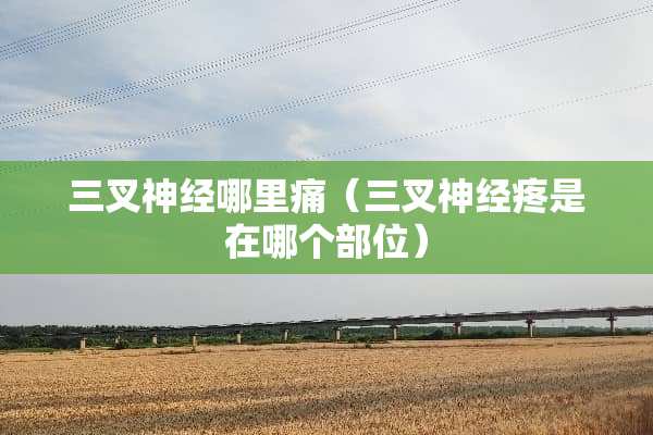 三叉神经哪里痛（三叉神经疼是在哪个部位）