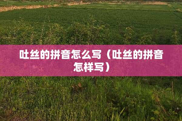 吐丝的拼音怎么写（吐丝的拼音怎样写）