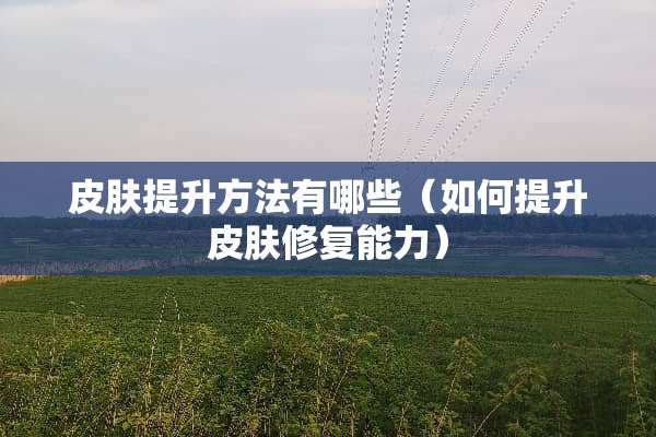 皮肤提升方法有哪些（如何提升皮肤修复能力）