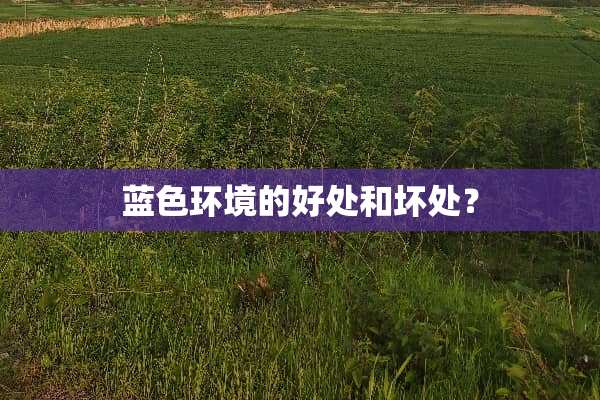 蓝色环境的好处和坏处？
