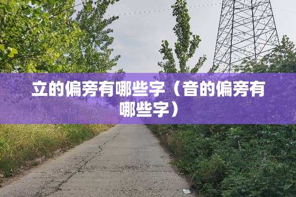 立的偏旁有哪些字（音的偏旁有哪些字）