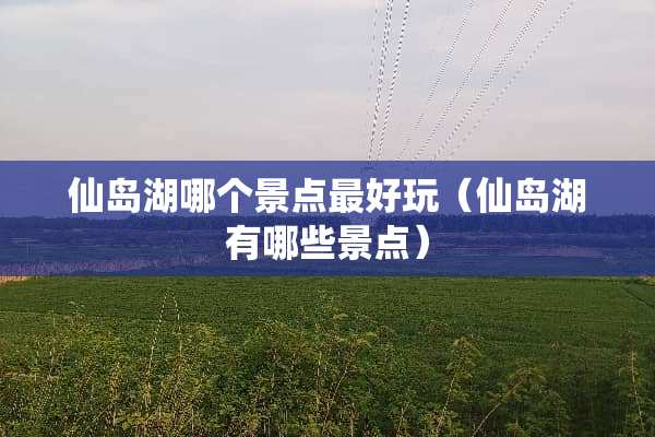 仙岛湖哪个景点最好玩（仙岛湖有哪些景点）