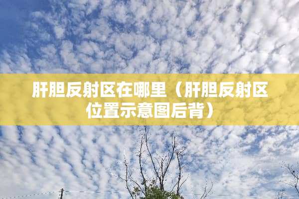 肝胆反射区在哪里（肝胆反射区位置示意图后背）