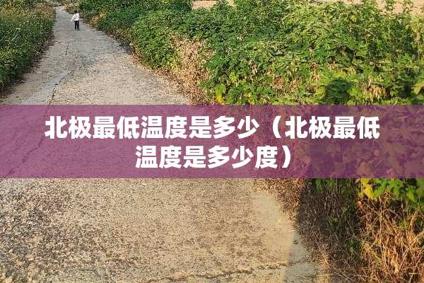 北极最低温度是多少（北极最低温度是多少度）