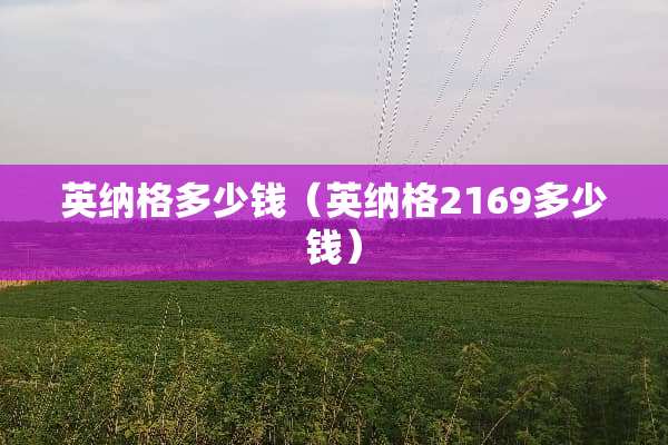 英纳格多少钱（英纳格2169多少钱）