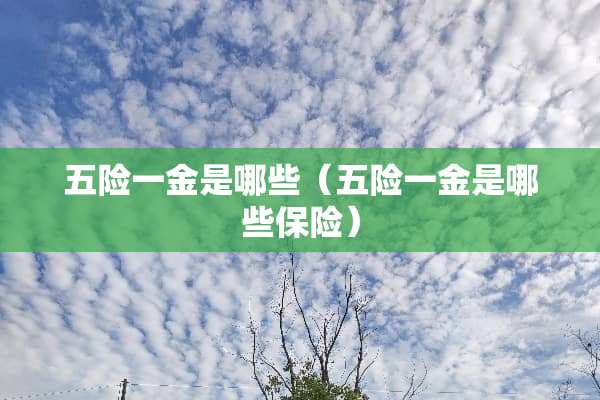 五险一金是哪些（五险一金是哪些保险）