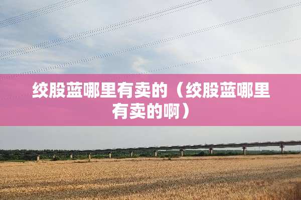 绞股蓝哪里有卖的（绞股蓝哪里有卖的啊）
