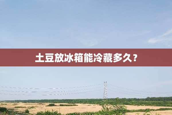 土豆放冰箱能冷藏多久？