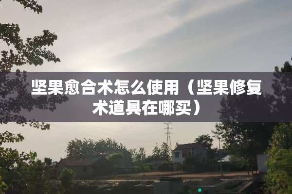 坚果愈合术怎么使用（坚果修复术道具在哪买）