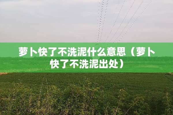萝卜快了不洗泥什么意思（萝卜快了不洗泥出处）