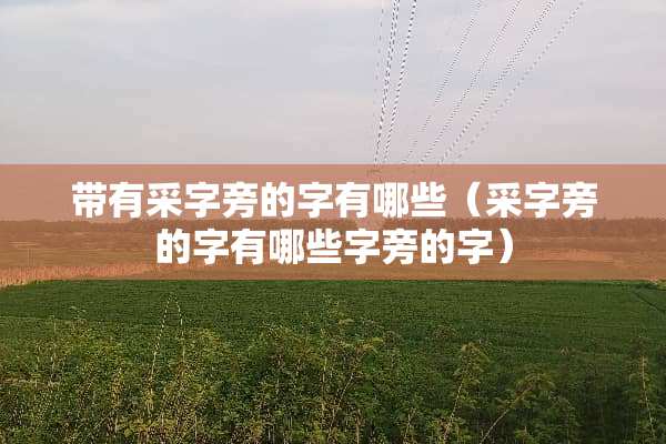 带有采字旁的字有哪些（采字旁的字有哪些字旁的字）