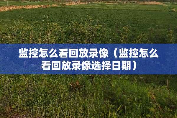 监控怎么看回放录像（监控怎么看回放录像选择日期）