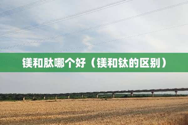 镁和肽哪个好（镁和钛的区别）