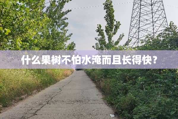 什么果树不怕水淹而且长得快？