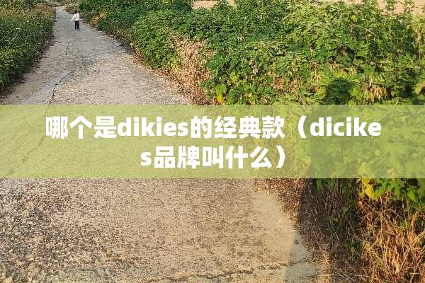哪个是dikies的经典款（dicikes品牌叫什么）