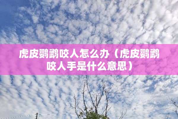 虎皮鹦鹉咬人怎么办（虎皮鹦鹉咬人手是什么意思）
