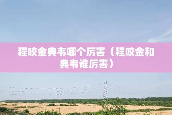 程咬金典韦哪个厉害（程咬金和典韦谁厉害）