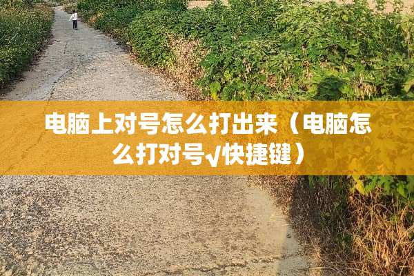 电脑上对号怎么打出来（电脑怎么打对号√快捷键）