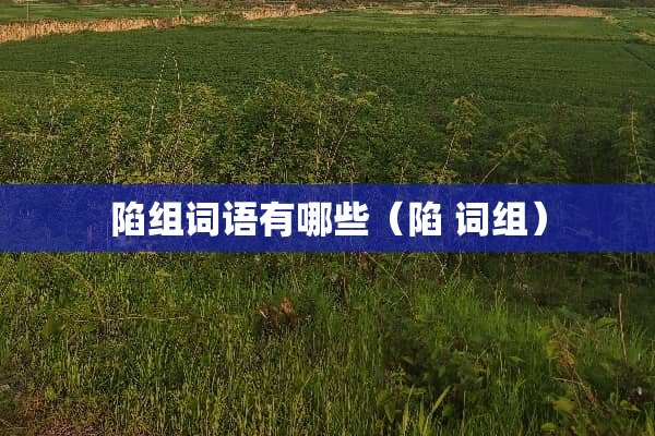 陷组词语有哪些（陷 词组）