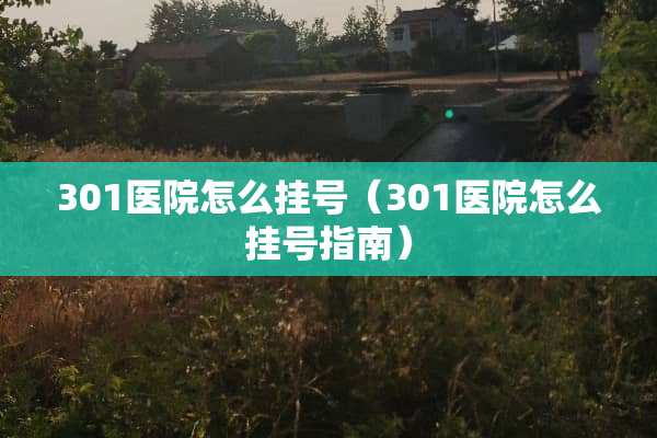 301医院怎么挂号（301医院怎么挂号指南）