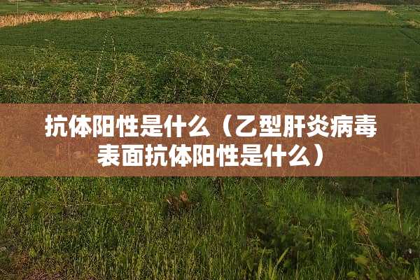 抗体阳性是什么（乙型肝炎**表面抗体阳性是什么）