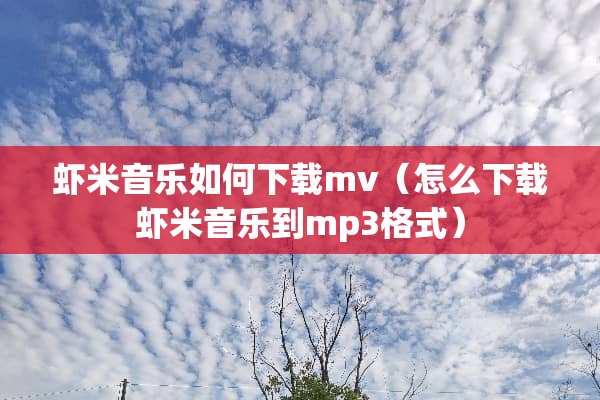 虾米音乐如何下载mv（怎么下载虾米音乐到mp3格式）
