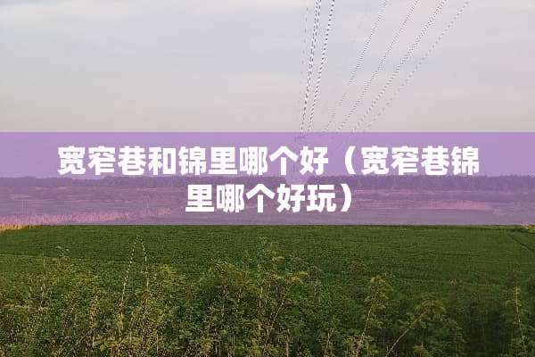 宽窄巷和锦里哪个好（宽窄巷锦里哪个好玩）