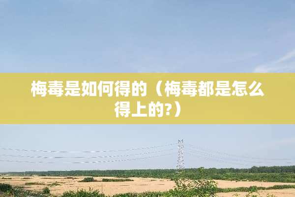 梅毒是如何得的（梅毒都是怎么得上的?）