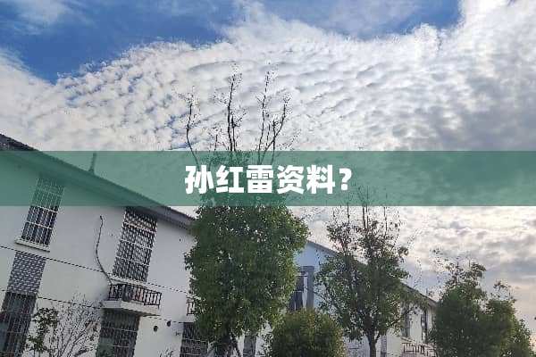 孙红雷资料？