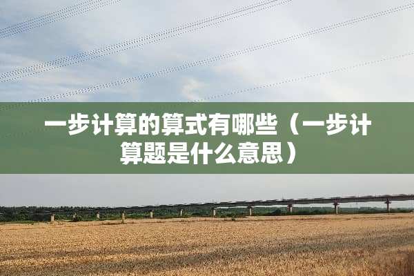 一步计算的算式有哪些（一步计算题是什么意思）