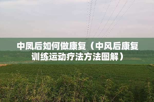 中凤后如何做康复（中风后康复训练运动疗法方法图解）